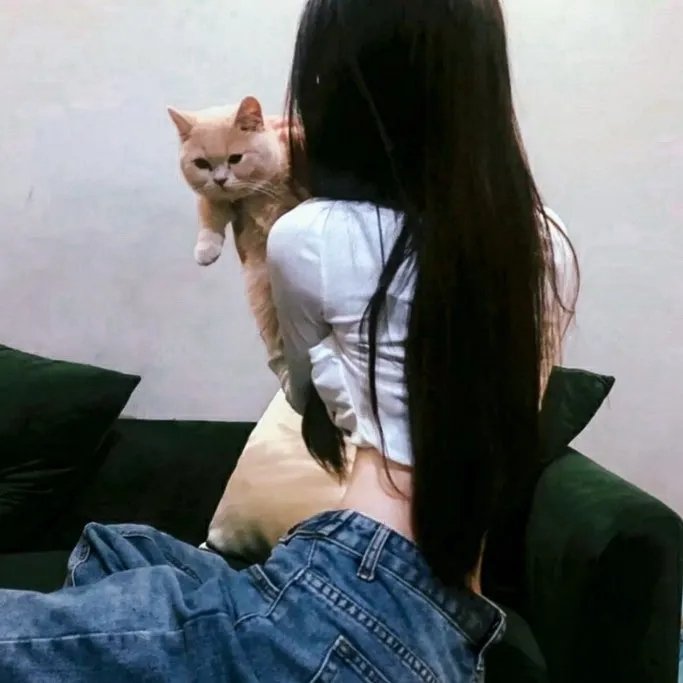 朱门巧妇